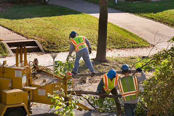 Best Landscape Design and Installation  in Day Valley, CA